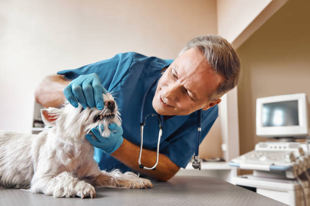 Best Same-Day Emergency Appointments in Mans, CO